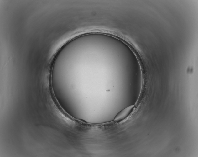 X0000091341504200708171400