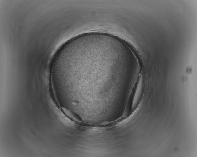 X0000091341506200708171400