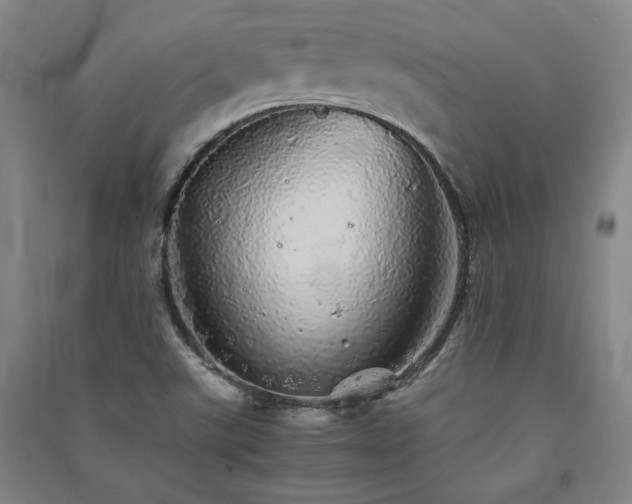 X0000091341507200708171400