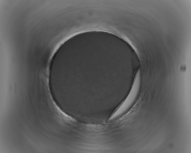 X0000091341508200708171401