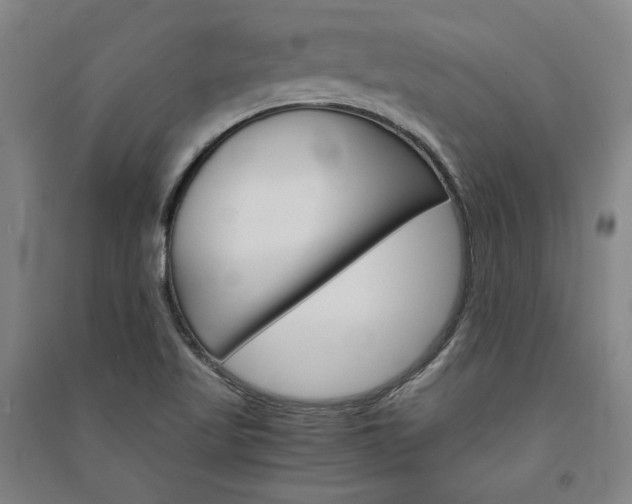 X0000091341509200708171401
