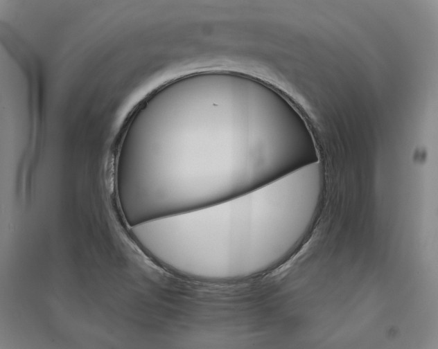 X0000091341510200708171401
