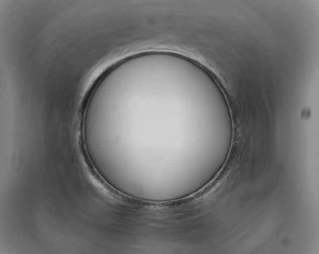 X0000091341511200708171401