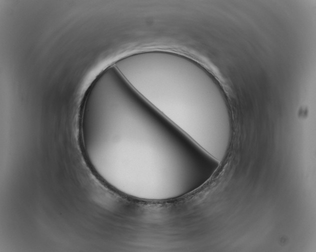 X0000091341512200708171401