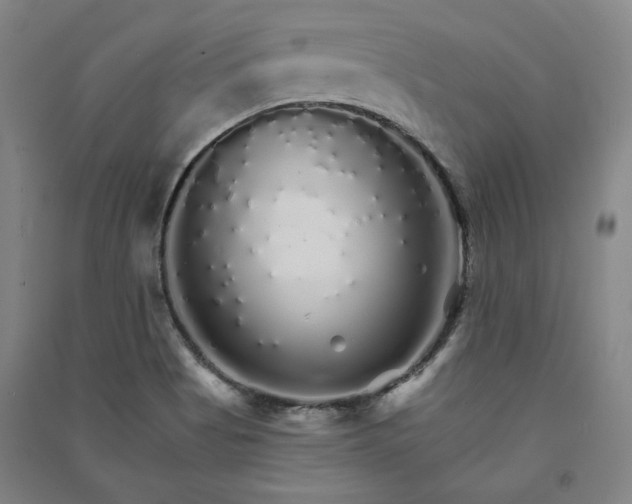 X0000091341513200708171401