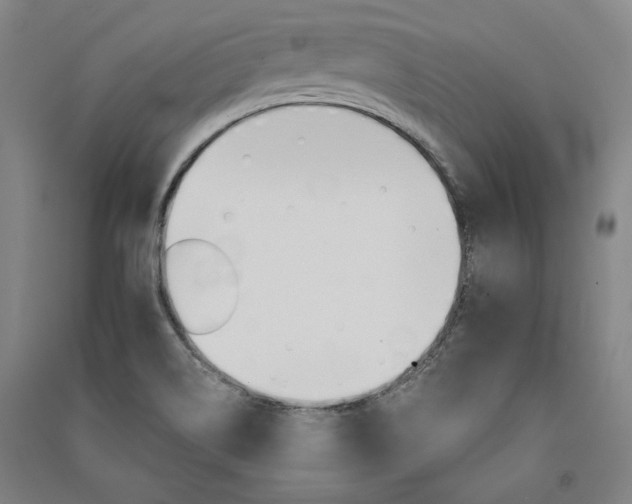X0000091341514200708171401