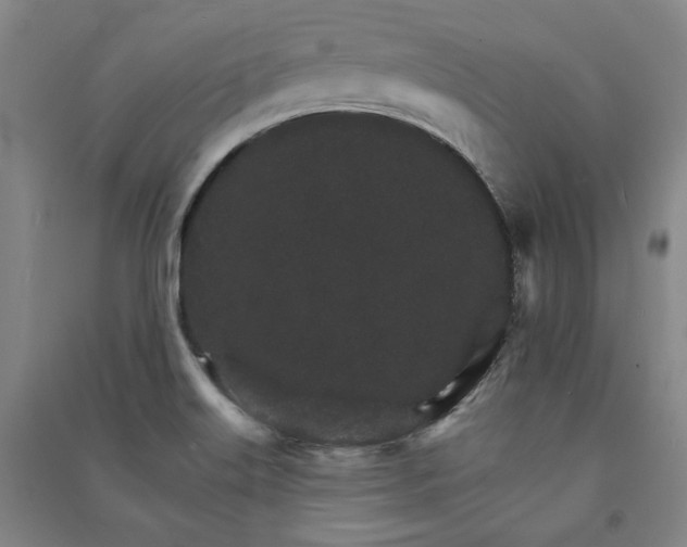 X0000091341515200708171401