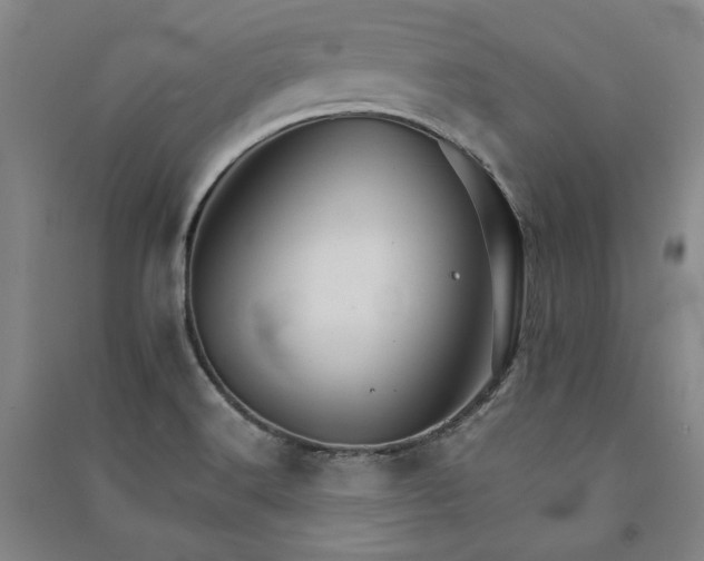 X0000091341516200708171401