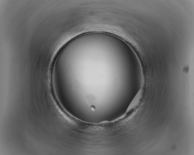 X0000091341517200708171401