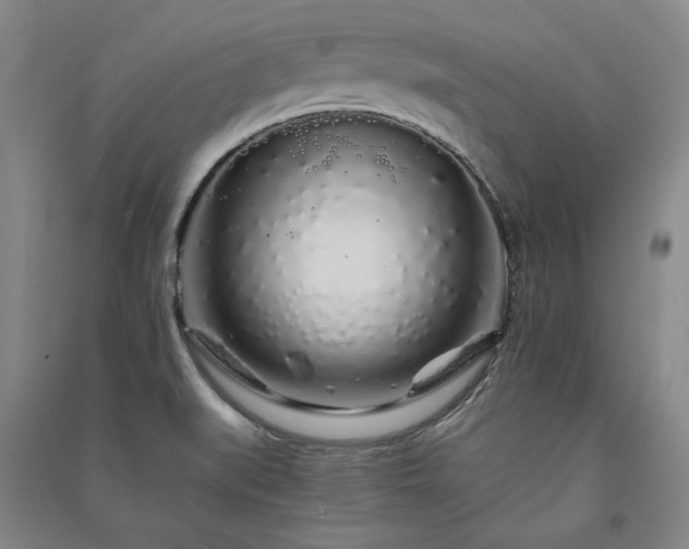 X0000091341519200708171401