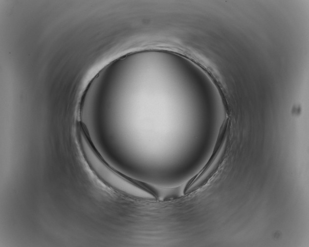 X0000091341520200708171401