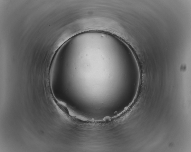X0000091341521200708171401