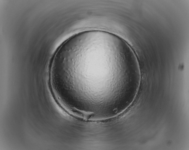X0000091341523200708171401