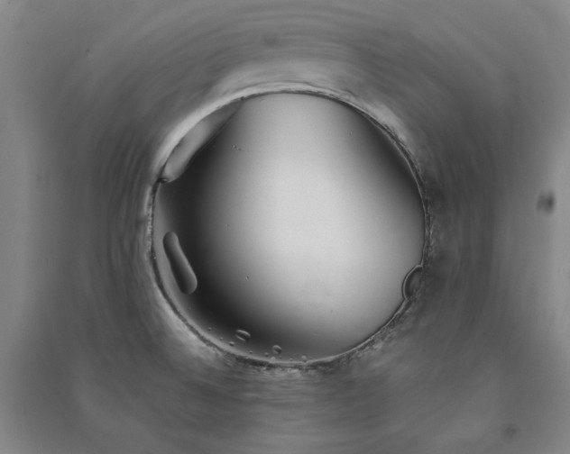 X0000091341524200708171401