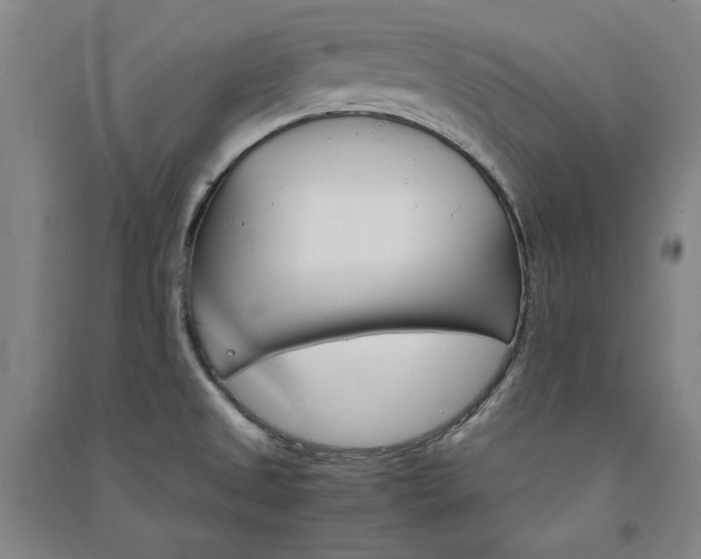 X0000091341525200708171401