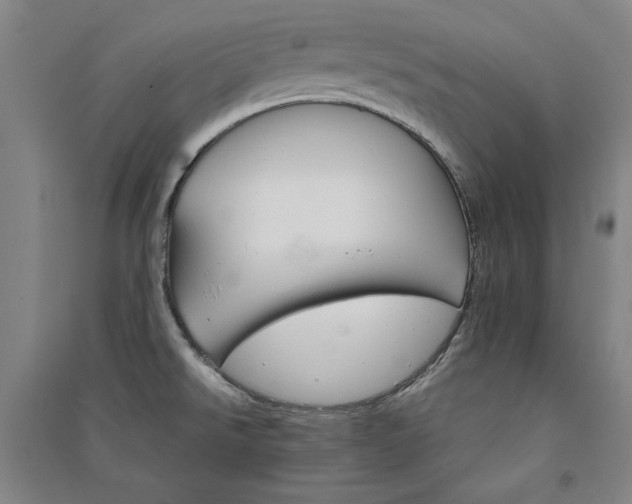 X0000091341526200708171401