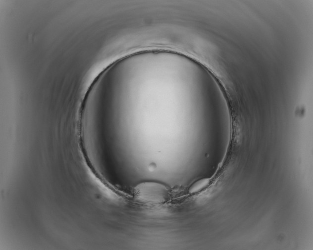 X0000091341527200708171401