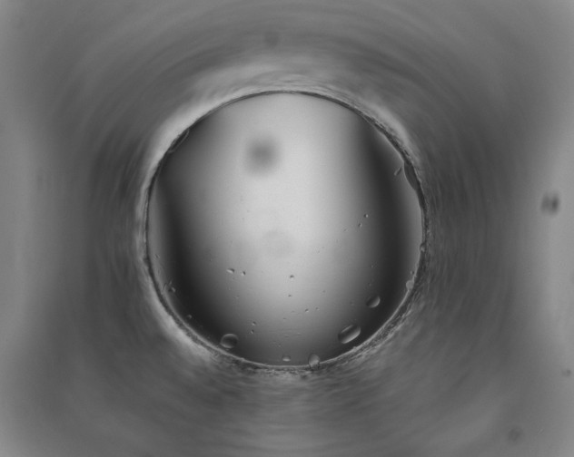 X0000091341528200708171401