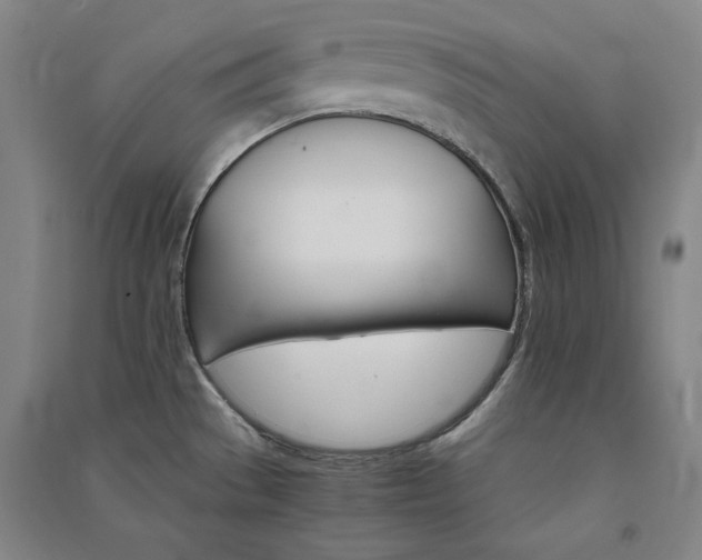 X0000091341529200708171401