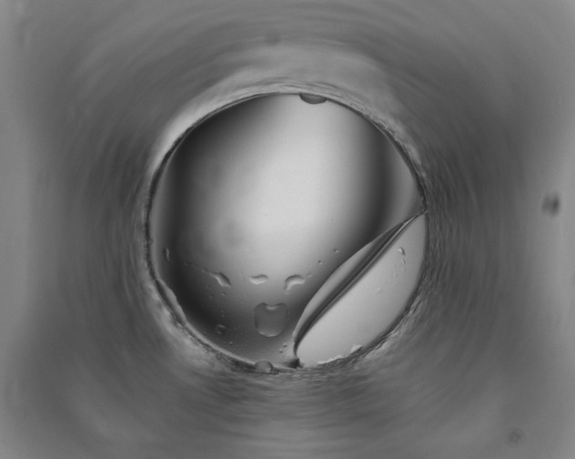 X0000091341530200708171401