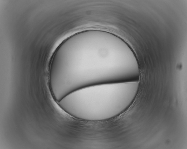 X0000091341531200708171401