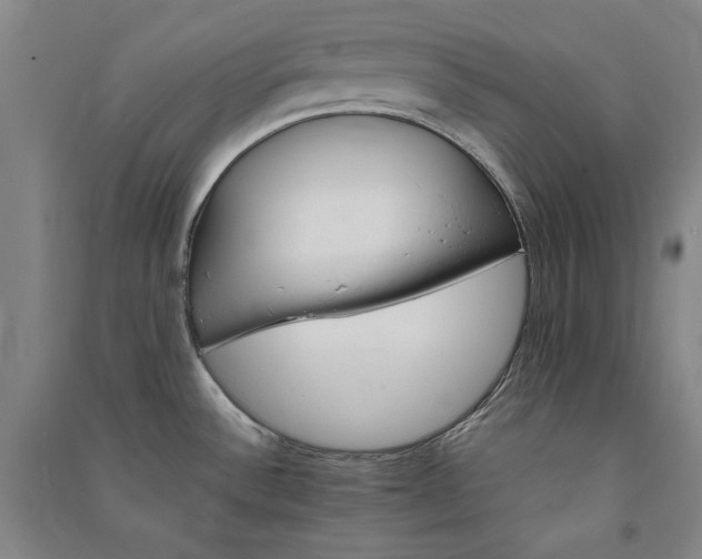 X0000091341532200708171401