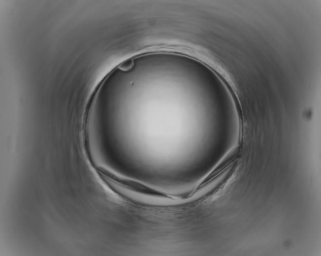X0000091341533200708171401