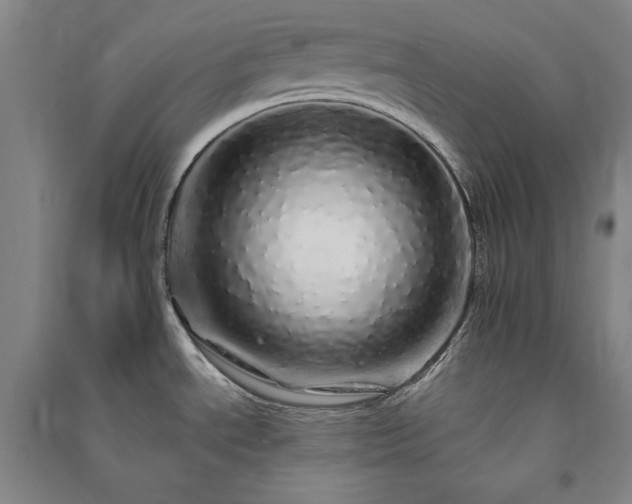 X0000091341534200708171401