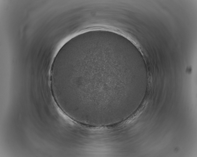X0000091341535200708171401