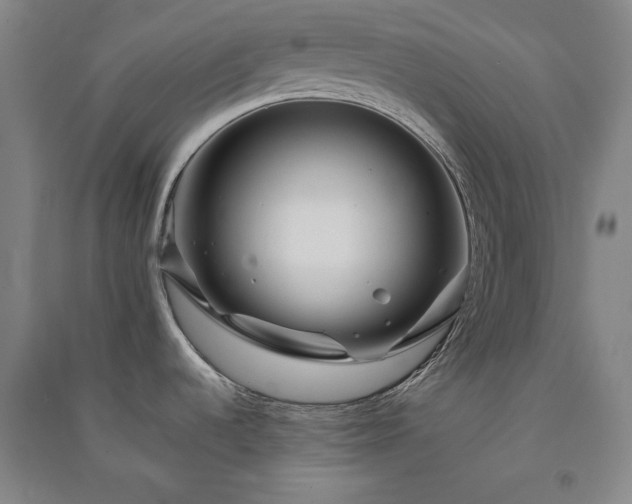 X0000091341536200708171401
