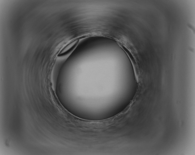 X0000091340001200708241234