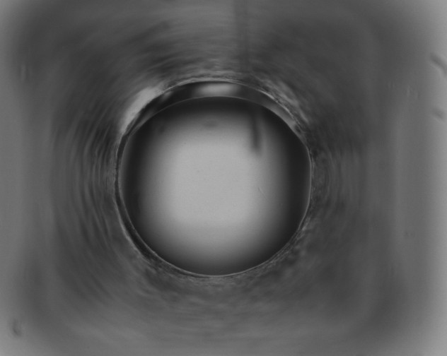 X0000091340003200708241234