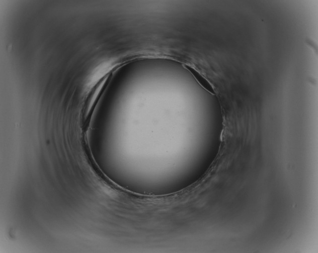 X0000091340005200708241234