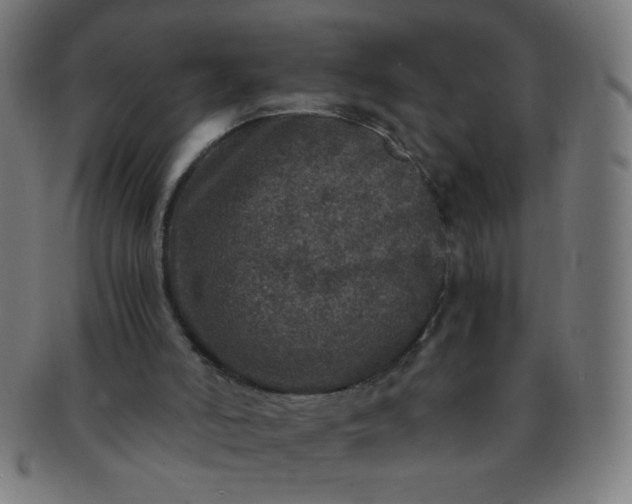 X0000091340006200708241234