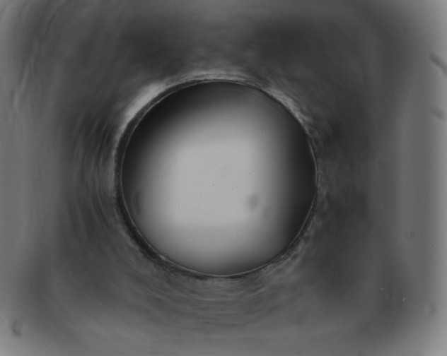 X0000091340008200708241234