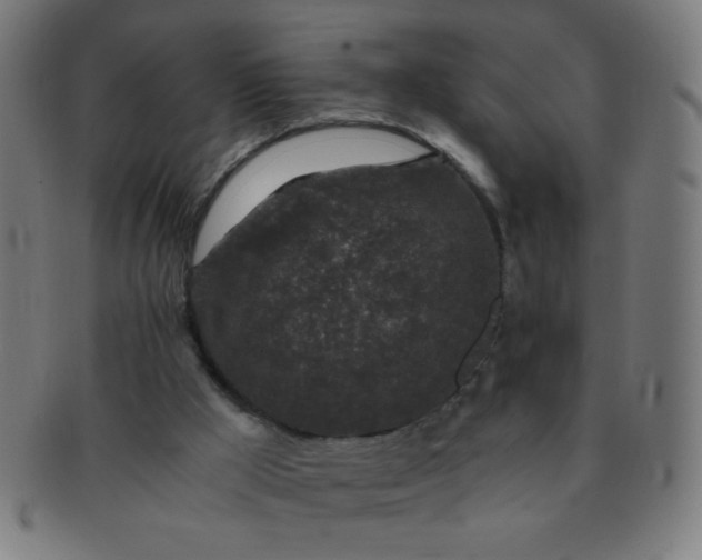 X0000091340009200708241234