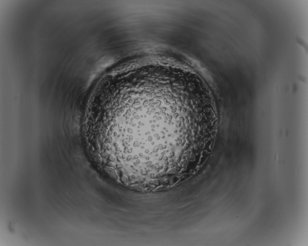 X0000091340010200708241234