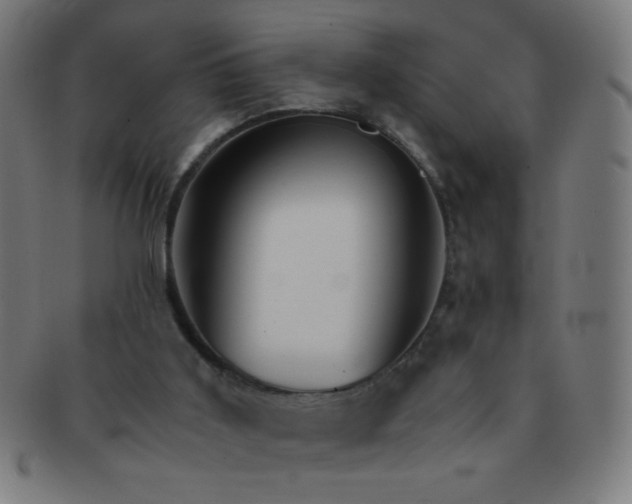 X0000091340011200708241234