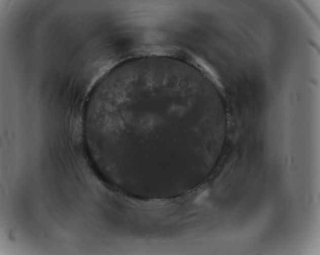 X0000091340012200708241234