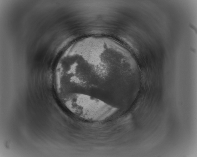 X0000091340016200708241234