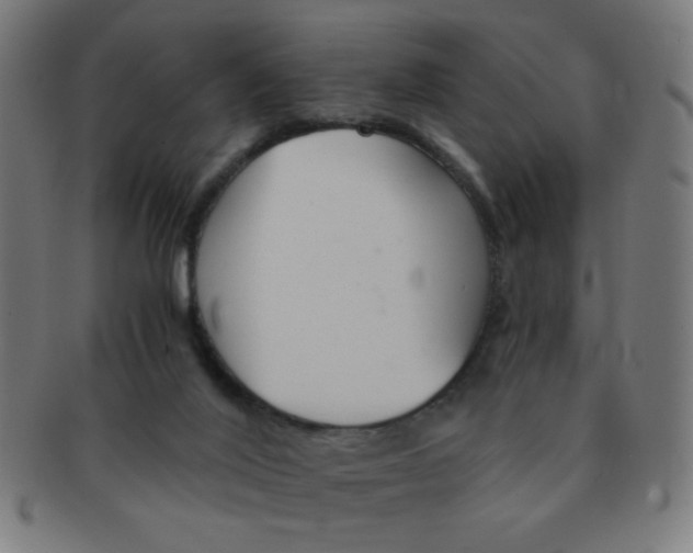 X0000091340020200708241234