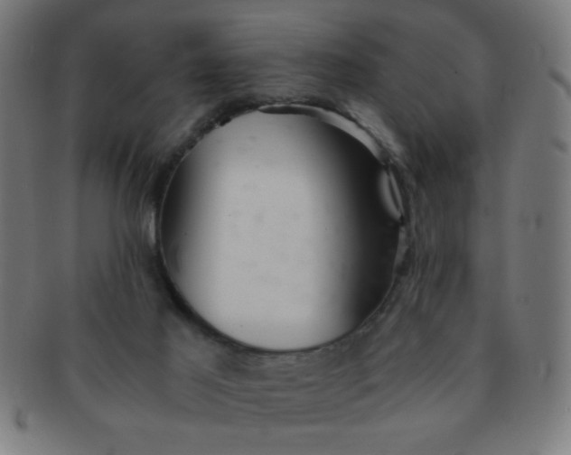 X0000091340021200708241234