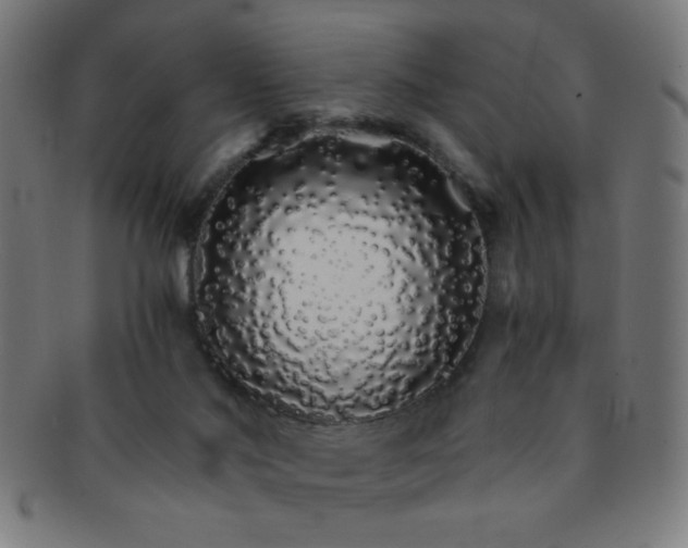 X0000091340022200708241234