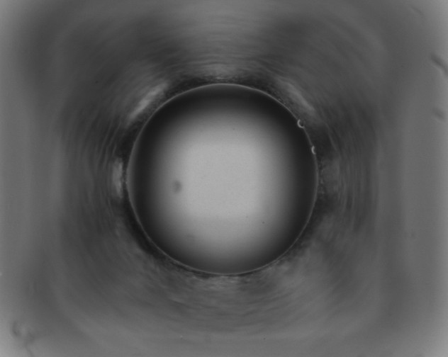 X0000091340024200708241234