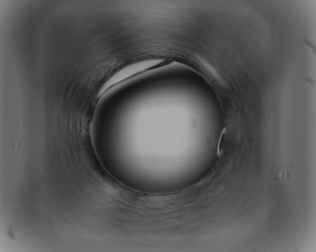 X0000091340025200708241234