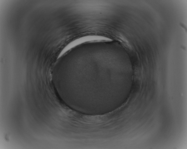 X0000091340029200708241234