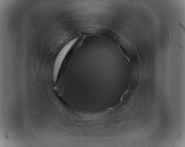 X0000091340031200708241234