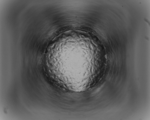 X0000091340032200708241234