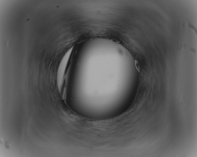 X0000091340033200708241233