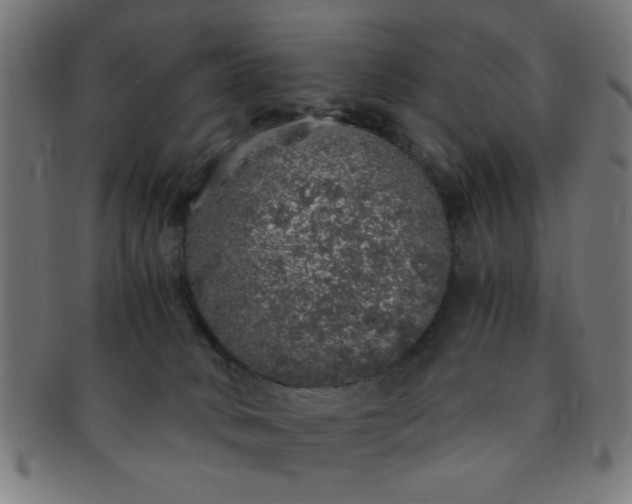 X0000091340034200708241233